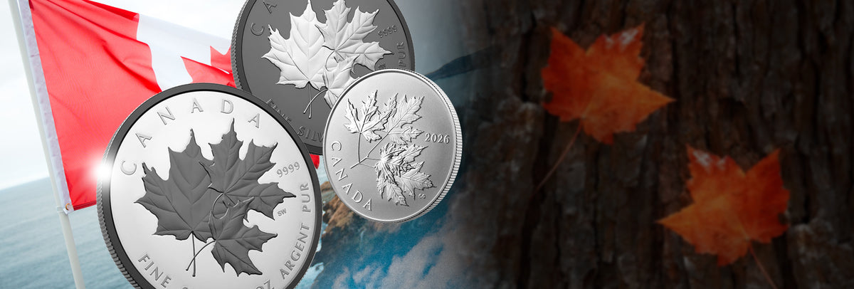 Silver Leaves
Are Falling